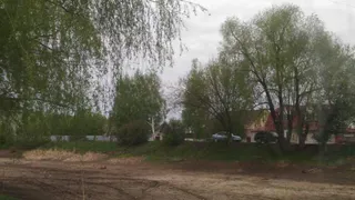 Как будто его и не было: в поселке Недостоево высох пруд, которому более 40 лет