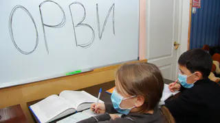 ОРВИ атакует: в 14 школах и 2 детсадах Рязани введён карантин