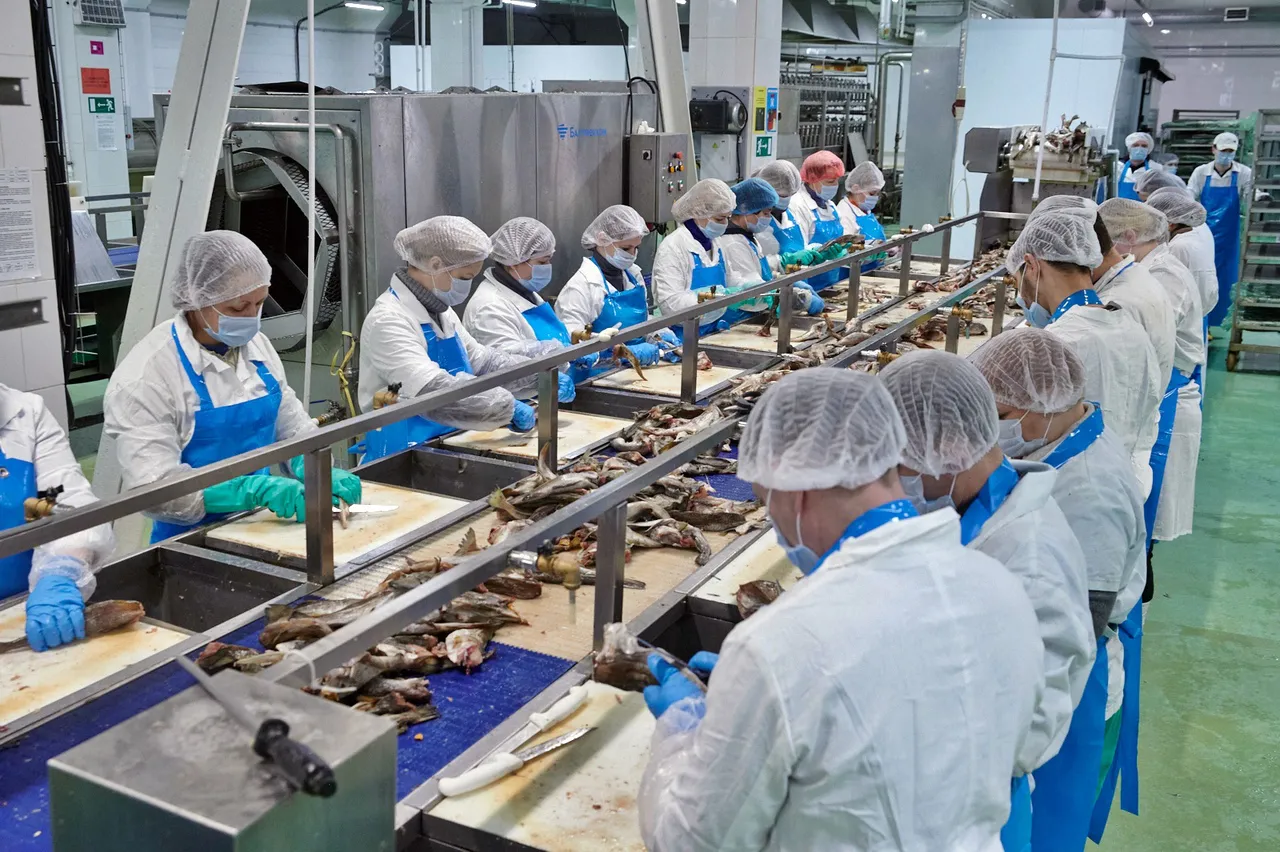 Уровень безработицы в регионе – всего 0,4 %, а средняя зарплата - 58 005 рублей