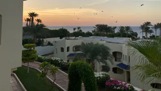 Надоевший Египет уже в пролёте, распробовала новый курорт: море в 2 раза дешевле - летим в мае всей семьей