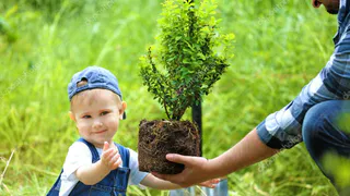 «Родился ребёнок – посади дерево»: в Нижнекамске работают над новым проектом