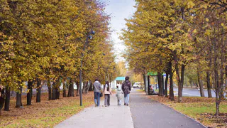 Прогноз погоды в Нижнекамске на среду, 8 октября