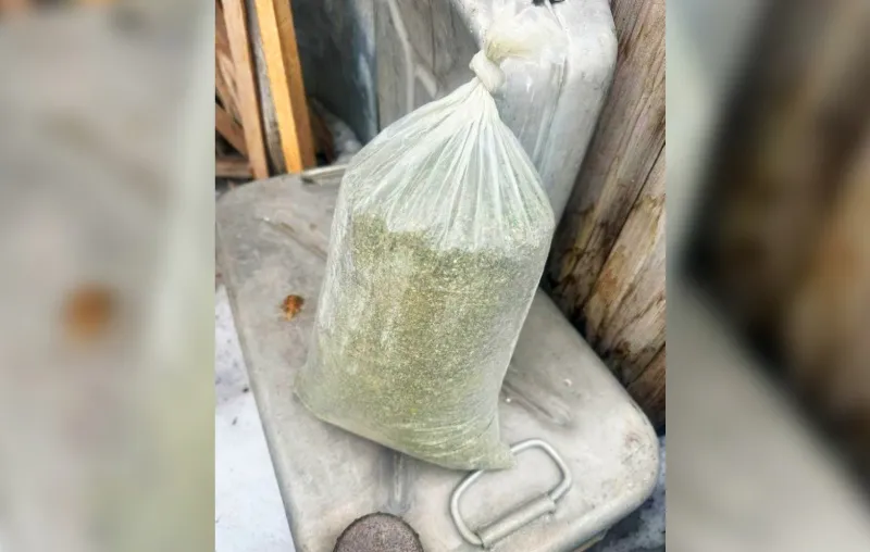 В Челябинской области у пенсионера изъяли более килограмма наркотических средств