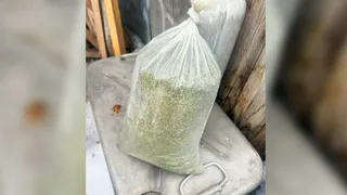 В Челябинской области у пенсионера изъяли более килограмма наркотических средств