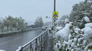 Аномальное бабье лето в ноябре: синоптики рассказали о внезапном потеплении к концу недели