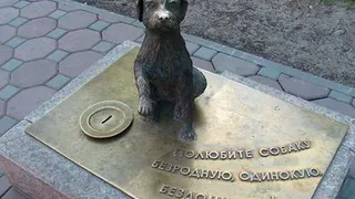 В Нижнекамске установят памятник бездомной собаке