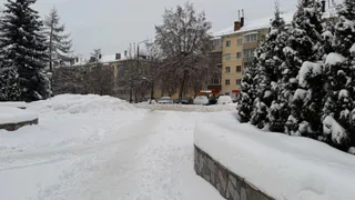 Рядом со школой в Рязани на дорогу упали провода