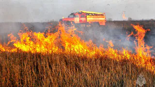 В Рязанской области с начала 2023 года составили 188 протоколов за сжигание травы и мусора