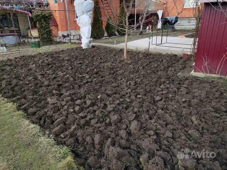 Всего одна горсть на грядки в сентябре – и почва будет плодородной без удобрений в 2025 году