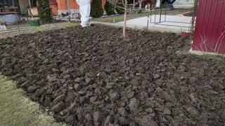 Всего одна горсть на грядки в сентябре – и почва будет плодородной без удобрений в 2025 году