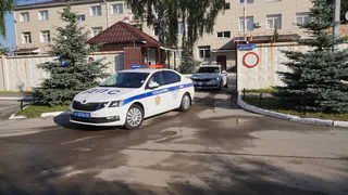 Рязанские полицейские разыскивают мужчину, сбившего девушку на переходе