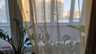 Снимать и стирать шторы больше не модно - ушлые хозяйки нашли гениальный выход: теперь чистота за 10 минут