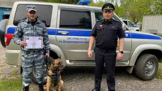 Во Владимирской области выбрали лучшего среди полицейских-кинологов