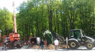 В лесопарке демонтировали "Ландыш"