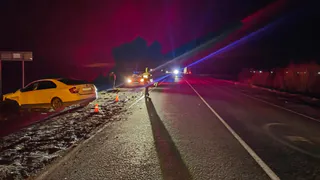 В Рязанской области в ДТП с большегрузом пострадали две женщины