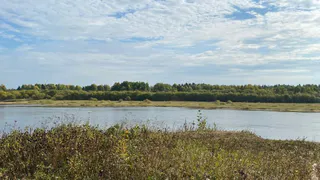 Дышать стало легче: в Коми зафиксировано улучшение качества атмосферного воздуха