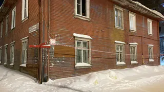 В Коми готовят новые поправки в закон о заготовке древесины для населения