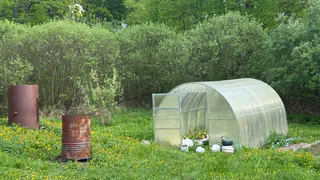 «И зачем так мучиться, убери леску с триммера»: знакомый подсказал, как косить траву без лишних усилий и сэкономить на леске