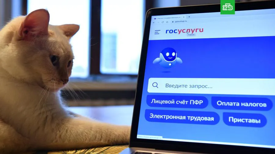 На «Госуслугах» введены важные нововведения