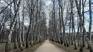 Аллергиков Рязанской области ожидает тяжелая неделя