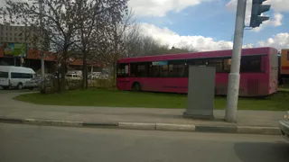 На улице Новой розовый автобус вылетел с дороги