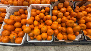 Лучше они сгниют на ветке – владелец мандаринового сада в Абхазии рассказал, почему качественные плоды до России не добираются