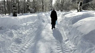 Весна придет рано - но радоваться нечему: метеоролог рассказал, какие сюрпризы ждать от погоды в марте