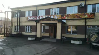 Снежку  Николая Денина будут банкротить