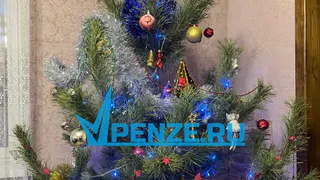 Жителям Пензы напомнили правила пожарной безопасности в преддверии Нового года