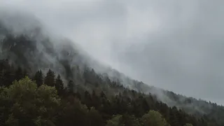 В Рязанской области вновь произошел лесной пожар