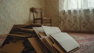 Как использовать картон на даче: беру в магазине бесплатно, экономлю много