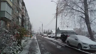 Первый снег выпадет, когда никто не будет ждать: синоптики назвали точную дату старта зимы