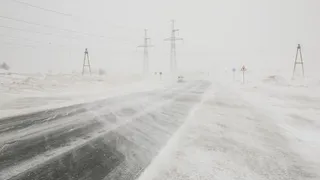 Ураган в Нижнекамском районе: более 5 тысяч домов остались без электричества