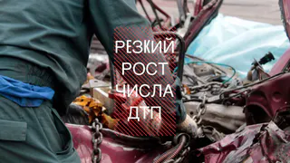 Пугающая статистика ДТП за первую неделю августа