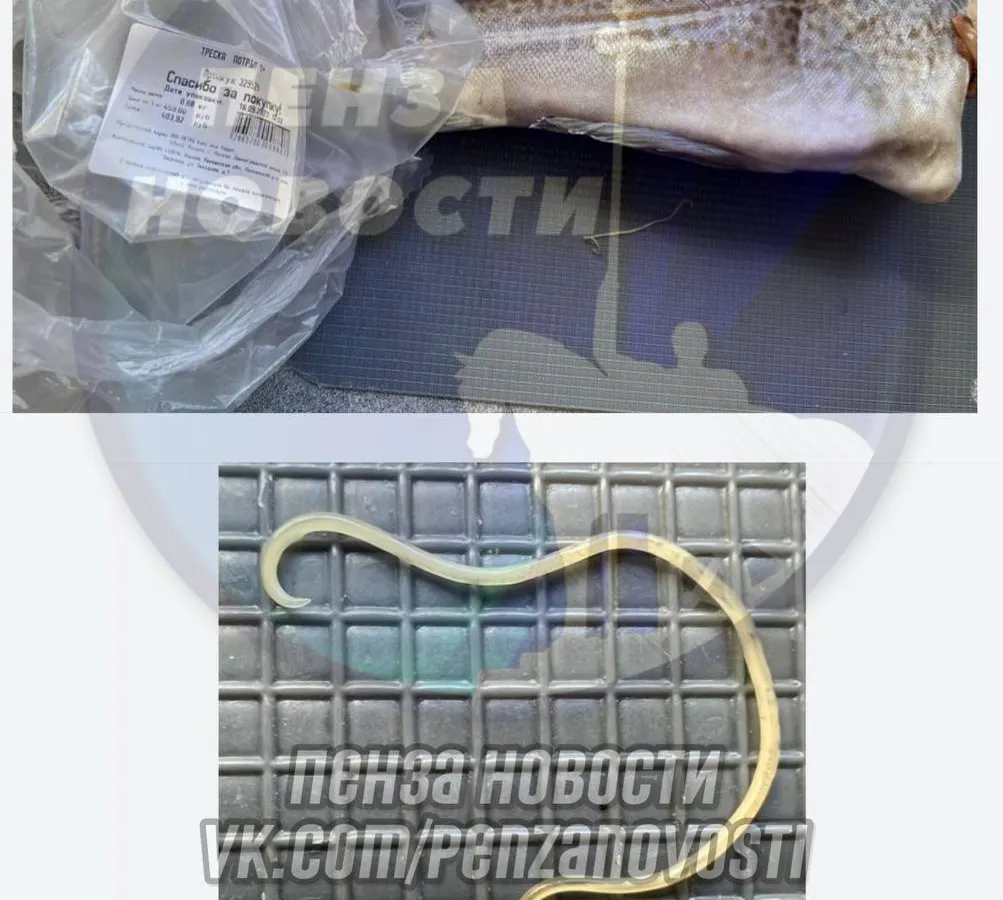 Жительница Пензы в одном из гипермаркетов города купила рыбу с аскаридами