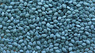 Три тысячи таблеток «Виагры» и «Сиалиса» было перехвачено на таможне Татарстана