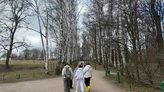 Звездный совет на 12 ноября: почему всем знакам стоит отложить дела и просто отдохнуть