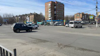 С 25 июня выехавшим за город на авто будут без разговоров аннулировать права: водителей готовят к важным изменениям