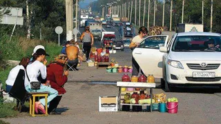 Вот тебе и вырастили урожай: дачников ждут крупные штрафы