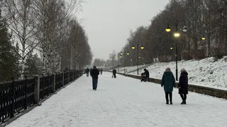 Великое стихотворение Сергея Есенина - его понимают только те, кому за 60. Мудрые строчки о жизни, гармонии и принятии
