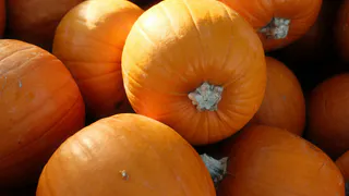 Идеальный осенний десерт - теперь все домашние наслаждаются тыквой. Просто, быстро и очень вкусно