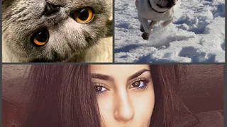 Инстаграм рязанцев: хитрый тип, летящая собака и в ожидании весны