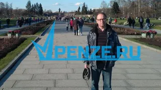 Лесовод из Санкт-Петербурга дал совет пензенцам, как выбрать хорошую новогоднюю елку