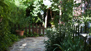 Десять идей для современного сада, которые превращают обычный участок в место, куда хочется возвращаться