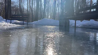 В Рязанской области объявили желтый уровень погодной опасности до 3 марта