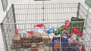 Как помочь животным по пути за покупками: благотворительная акция от волонтеров