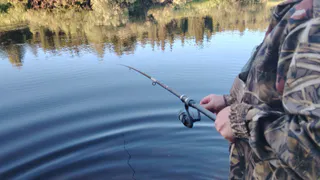 В Красную книгу Коми могут включить новый вид рыбы из-за критического сокращения популяции