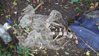 Неприятная находка: вблизи Нижнекамска обнаружен скелет человека.