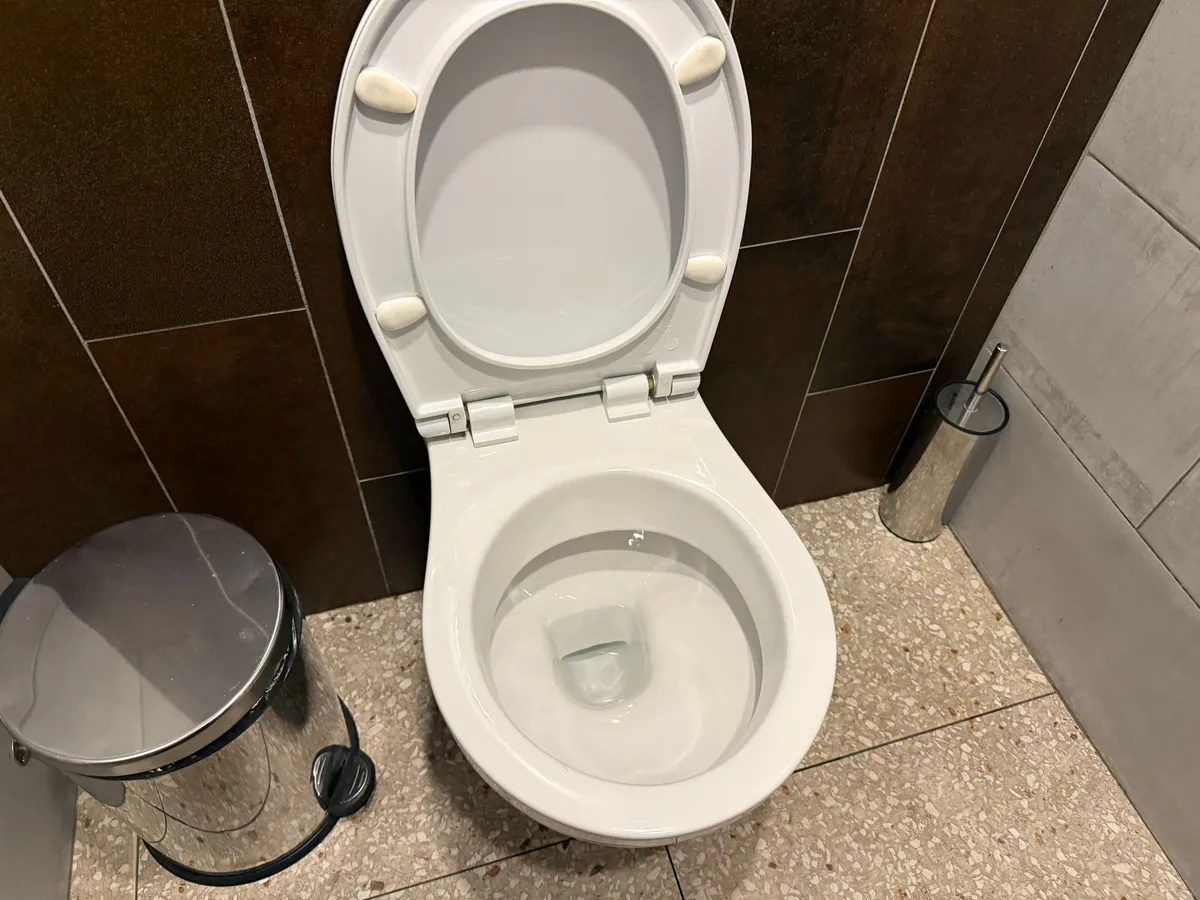 Дно унитаза отмыла на раз — даже ершик не трогала: заливаем и смываем — налет сам "слетает" в трубу