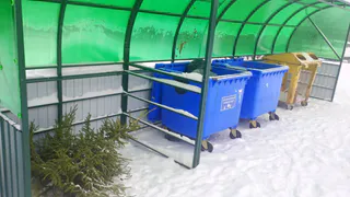 Ёлки не на свалку, а в дело: в двух городах Коми запустят экологическую акцию